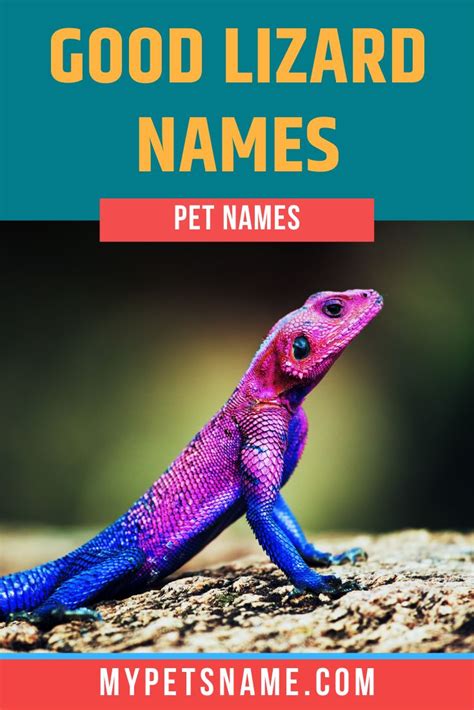Good Lizard Names Lizard Names Pet Lizards Cool Pet Names