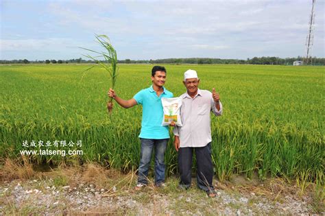 Iffco malaysia sdn bhd (imsb) was established in 1999 and employs 325 people. Auasia Sales Promotions : Elemento • Tat Seng Agriculture ...