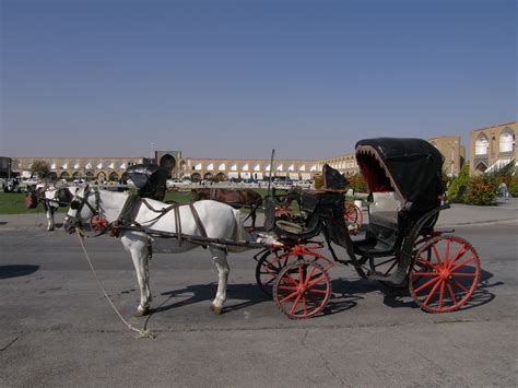 Filehorse And Buggy Wikipedia