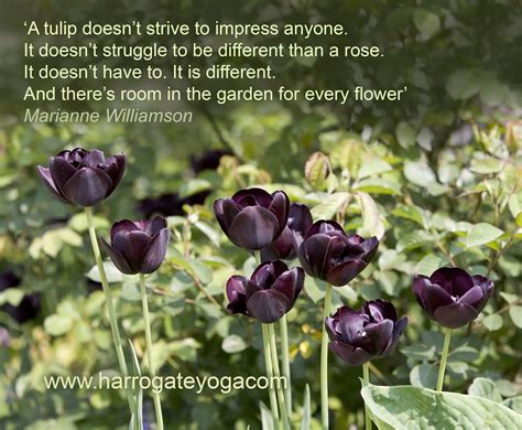 They may be more modest but they nearly all have that one special quality that. A quote about tulips and being our authentic, individual selves. | Tulips quotes, Flower quotes ...
