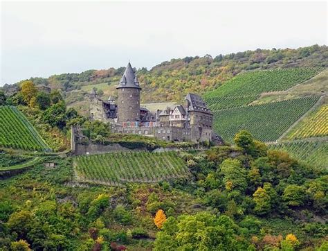 Tout savoir sur les vins et les vignobles de Provence – Admirer les