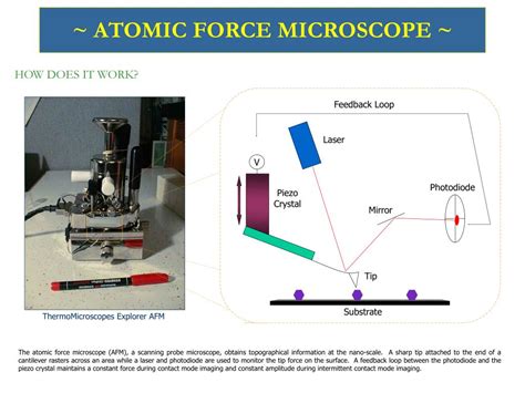 Ppt ~ Atomic Force Microscope ~ Powerpoint Presentation Free