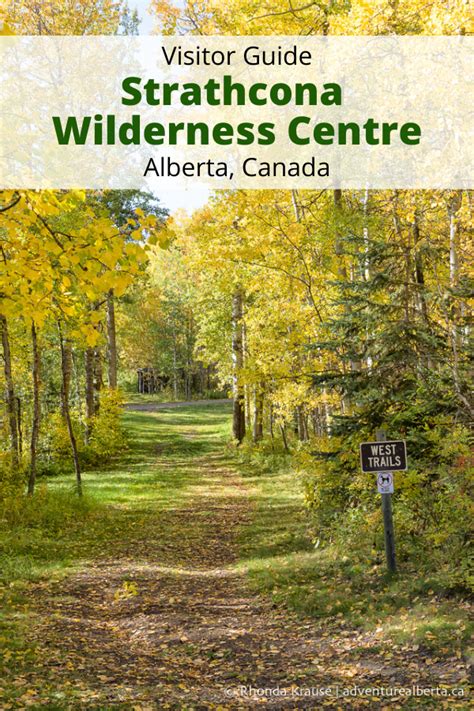 Here Are Some Things To Do At The Strathcona Wilderness Centre Near
