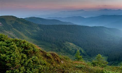 Ukraine Mountains Forests Carpathians Zakarpattia Nature