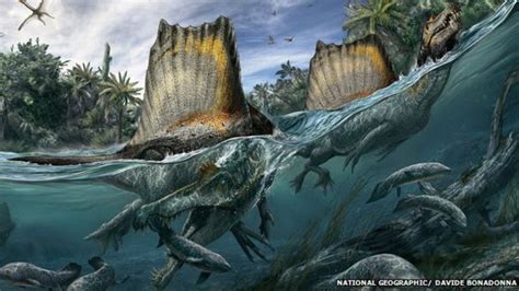 Maior Dinossauro Carn Voro Conhecido Pelo Homem Sabia Nadar Bbc News