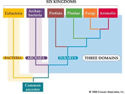 Fixing my 'cheated' visit to kurdistan previously! Six Kingdoms