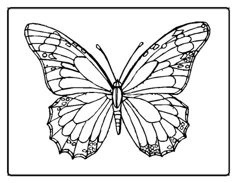 Butterfly Coloring Pages Learn To Coloring