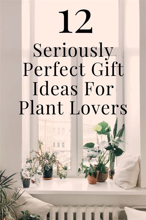 Check spelling or type a new query. 12 Seriously Perfect Gift Ideas for Plant Lovers | Plant ...