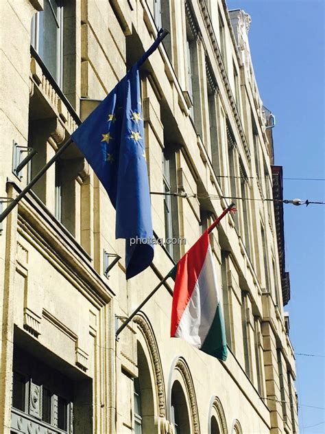 Gratis ungarische flagge hier downloaden. EU, Ungarn, Flagge Bild 54914 // Zuwachs für das Archiv 31