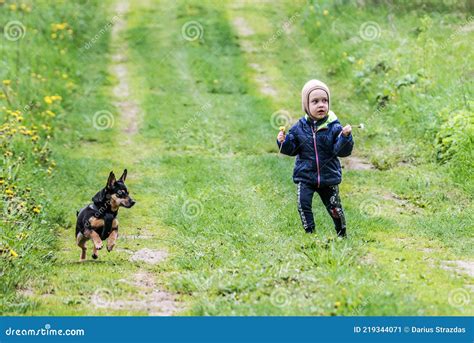 Kind In De Natuur Met Kleine Hond Stock Afbeelding Image Of Peuter