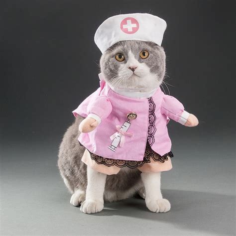 Los Mejores Disfraces Para Gatos En Halloween Disfraz Para Gato Ropa