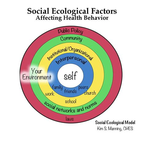The 25 Best Social Ecological Model Ideas On Pinterest Ecological
