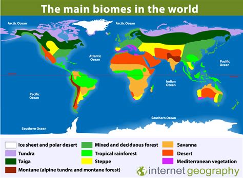 Where Are Polar And Tundra Environments Located Internet Geography