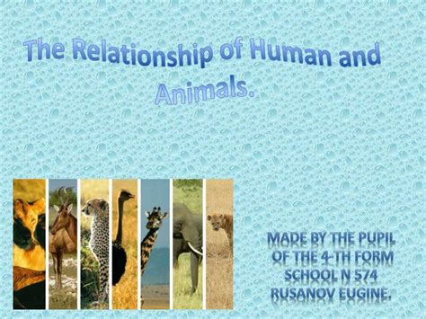 Ppt The Relationship Of Human And Animals Powerpoint Presentation