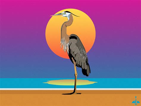 Great Blue Heron Designs Themes Templates And Downloadable Graphic