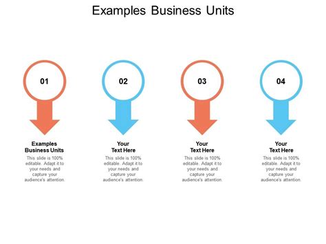 Examples Business Units Ppt Powerpoint Presentation Summary Gallery Cpb