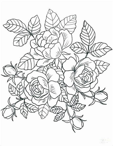 Coloring Pages Spring Flowers Coloring Sheets Luxury Spring Flower Hot Sex Picture