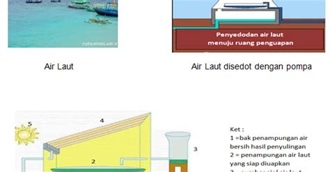 Merdeka belajar adalah kebijakan besar dalam rangka mewujudkan transformasi pengelolaan pendidikan di indonesia. Contoh Soal Akm Ipa Smp - Contoh Soal Akm Smp 2020 Terbaru ...