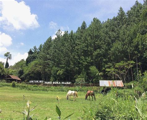 5 TEMPAT WISATA ALAM DI SUMEDANG YANG LAGI HITS 2024 UNIK DAN COCOK