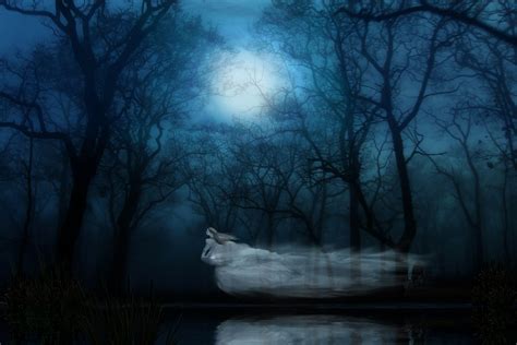 Ghost Forest Night Wallpapers Top Free Ghost Forest Night Backgrounds