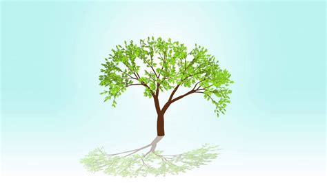 If you want trees to be. Seed Growing tree animation Quote - YouTube