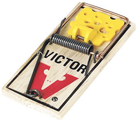 Victor Easy Set Mouse Trap 2 Easy Set Mouse Trap 3lml2m035 Grainger