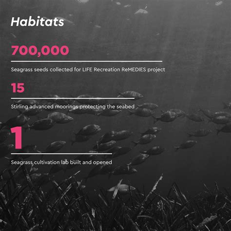Our Impact In 2020 Ocean Conservation Trust