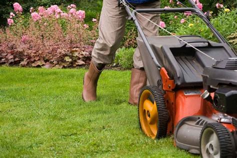 Get A Handle On Routine Lawn Care With This Checklist Best Pick