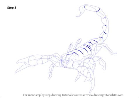 Learn How To Draw An Emperor Scorpion Scorpions Step By Step
