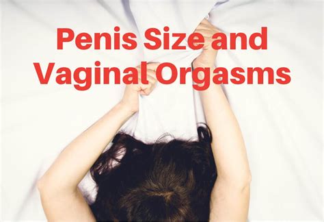 Does Penis Size Increase Vaginal Orgasms Blog