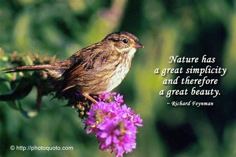 Gods Beauty In Nature Quotes Quotesgram Short Nature Quotes Nature