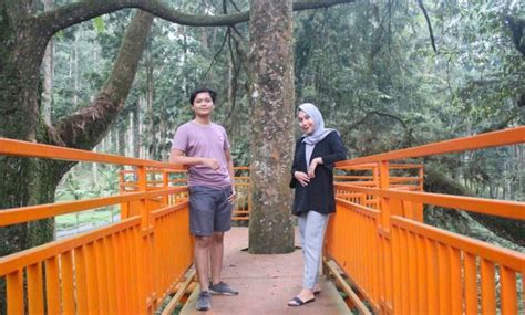 Batam menjadi salah satu gerbang keluar masuknya wisatawan. 10 Gambar Kebun Raya Baturaden Purwokerto, Harga Tiket Masuk Sejarah Asal Usul Lokasi Alamat Jam ...