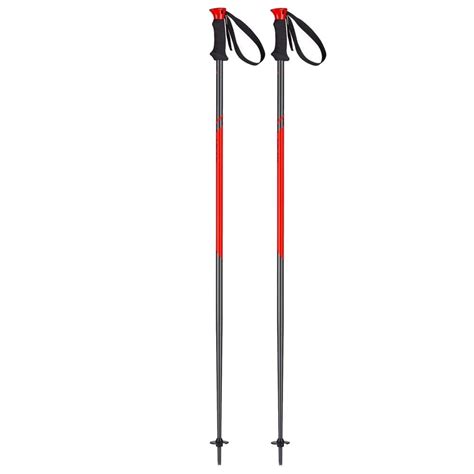 Head Multi S Ski Poles