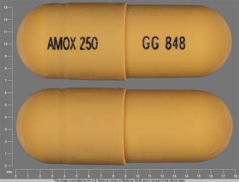 Pill Identifier Amoxicillin NDC
