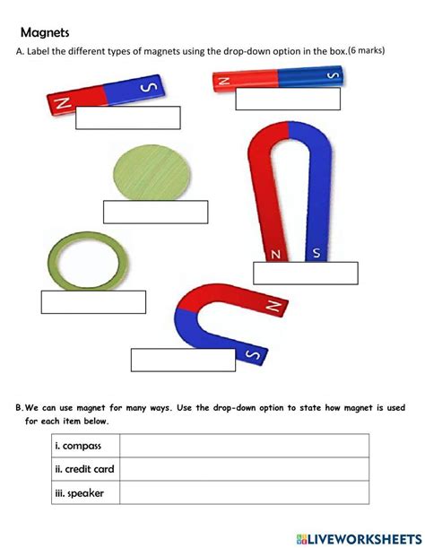 Magnet Interactive Worksheet For Grade 5 Live Worksheets