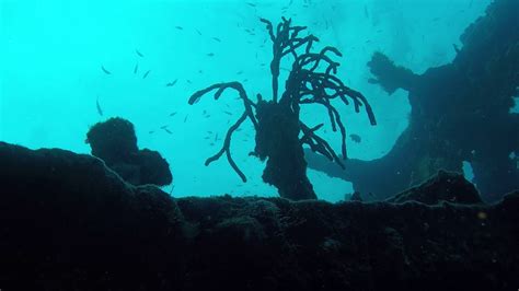 Aruba Wreck Diving The Antilla Part 7June 2019 YouTube