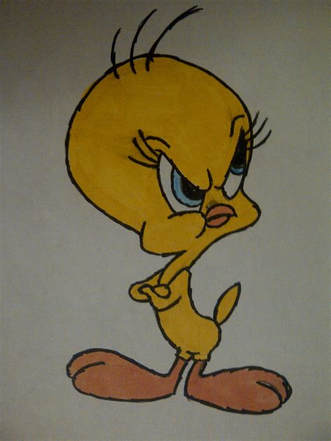 The Best Free Tweety Drawing Images Download From 424 Free Drawings Of