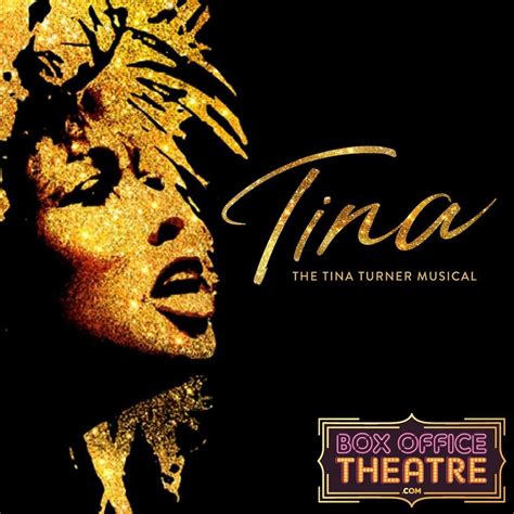 Pin On The Glorious Tina Turner Rock N Roll Phoenix