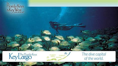 Key Largo Florida Keys Official Tourism Site Diving Capital Of The