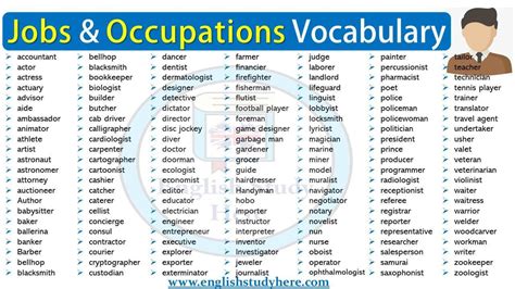 Lista De Ocupaciones En Orden Alfabetico En Ingles Brainlylat