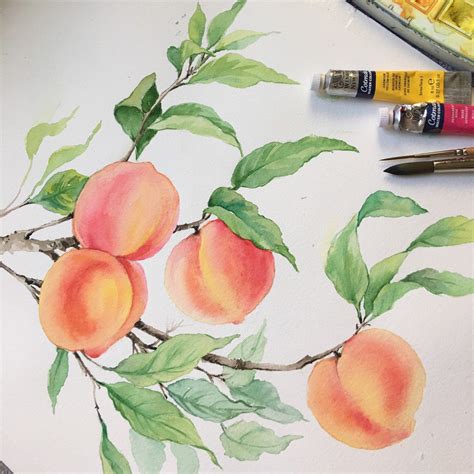 Watercolor Peach Painting Dinning Room Kitchen Decor Fruit Etsy In