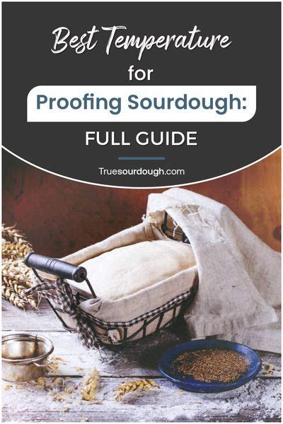 Best Temperature For Proofing Sourdough Full Guide Sourdough