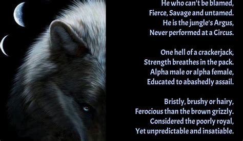 Alpha Male Alpha Wolves Quotes Lyannelle