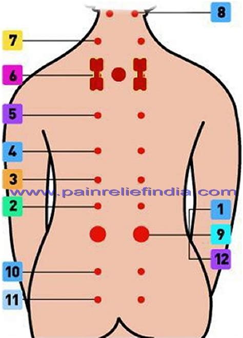 Back 12 Acupressure Therapy Points