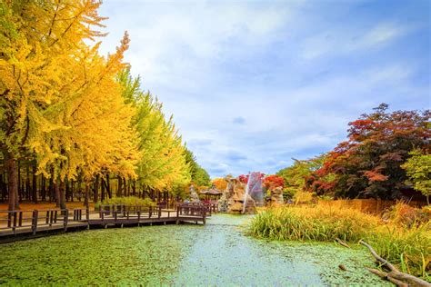 Compare Nami Island Petite France And Garden Of Morning Calm Day Tour