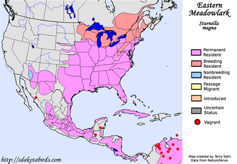 Eastern Meadowlark Species Range Map