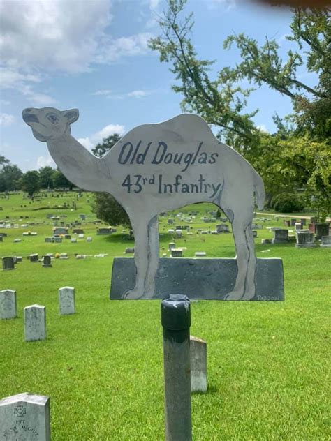 Old Douglas The Confederate Camel 🐪 Doggo Blogo