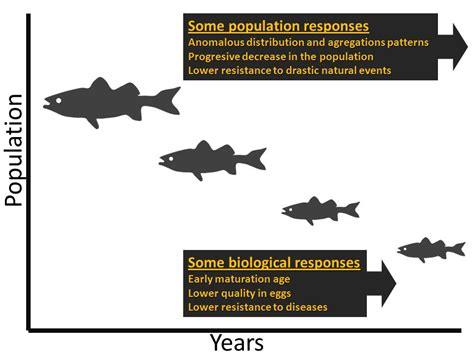 The Humboldt Current System Sustainable Yield In Fisheries