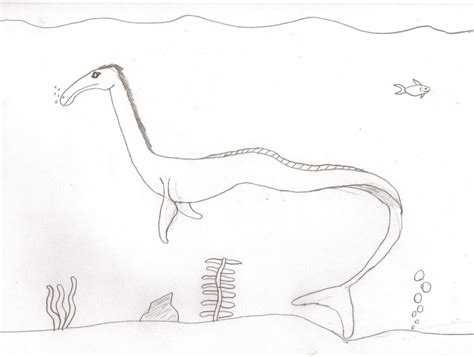 Cadborosaurus By Anguirius On Deviantart