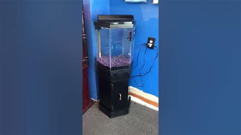 20 Gallon Hexagon Aquarium Fish Tank Complete 150 Youtube
